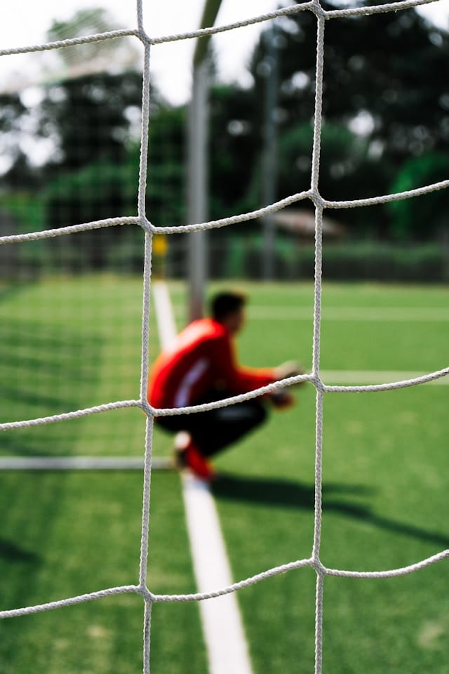 Portiere